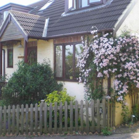Skerries B And B Lyme Regis Exteriör bild